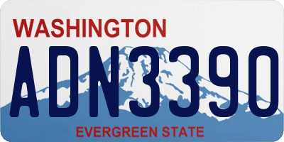 WA license plate ADN3390