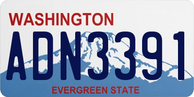 WA license plate ADN3391