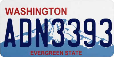 WA license plate ADN3393