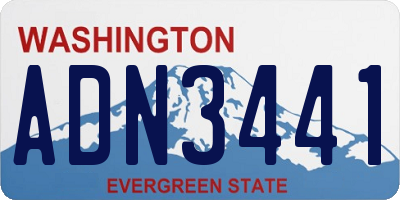 WA license plate ADN3441