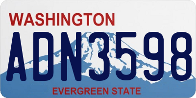 WA license plate ADN3598