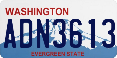 WA license plate ADN3613