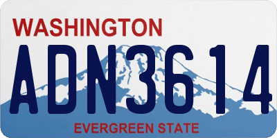 WA license plate ADN3614