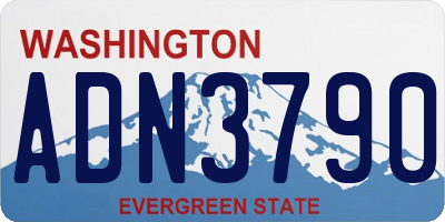WA license plate ADN3790
