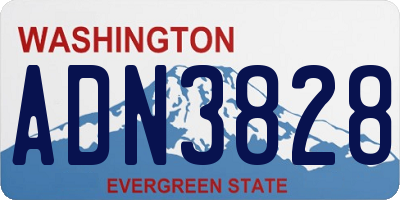 WA license plate ADN3828