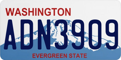 WA license plate ADN3909
