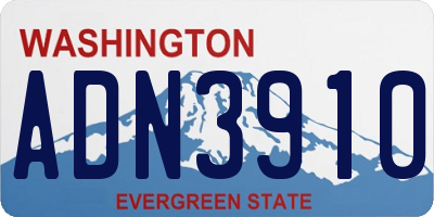 WA license plate ADN3910