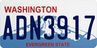 WA license plate ADN3917