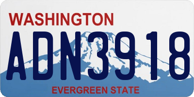 WA license plate ADN3918