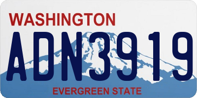 WA license plate ADN3919