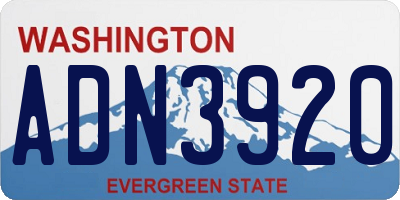 WA license plate ADN3920