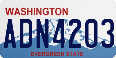 WA license plate ADN4203