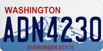 WA license plate ADN4230