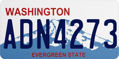 WA license plate ADN4273