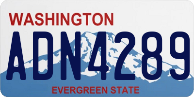 WA license plate ADN4289
