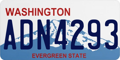 WA license plate ADN4293