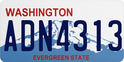 WA license plate ADN4313