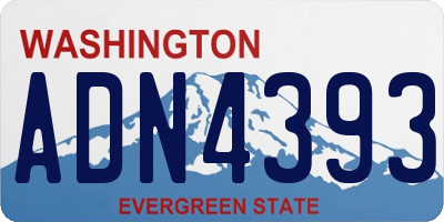 WA license plate ADN4393