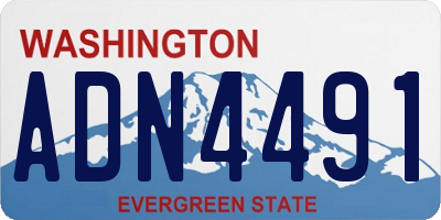 WA license plate ADN4491