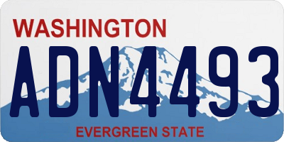 WA license plate ADN4493