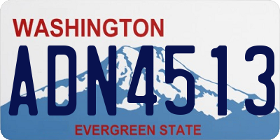 WA license plate ADN4513