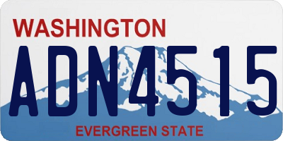 WA license plate ADN4515