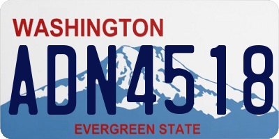 WA license plate ADN4518