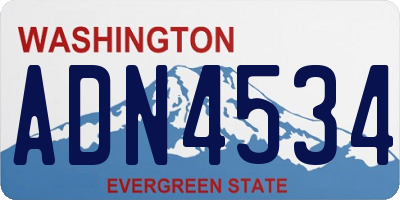 WA license plate ADN4534