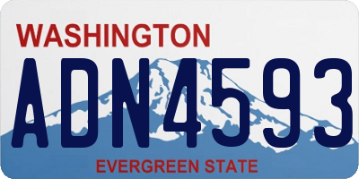 WA license plate ADN4593