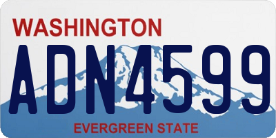 WA license plate ADN4599