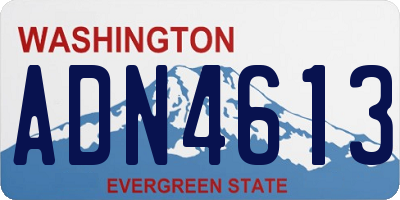 WA license plate ADN4613