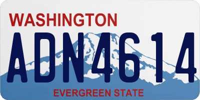 WA license plate ADN4614