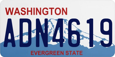 WA license plate ADN4619