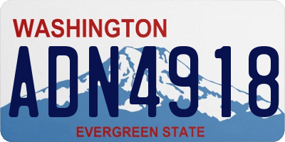 WA license plate ADN4918