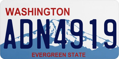 WA license plate ADN4919