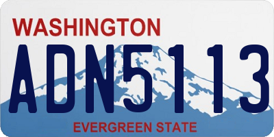WA license plate ADN5113