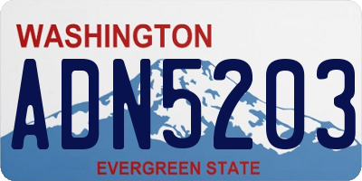 WA license plate ADN5203