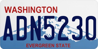 WA license plate ADN5230
