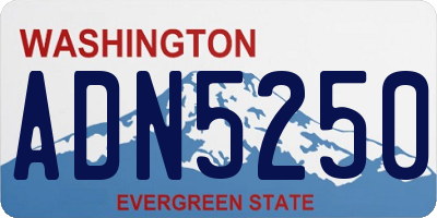 WA license plate ADN5250