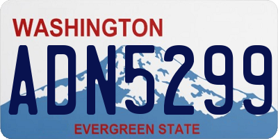 WA license plate ADN5299