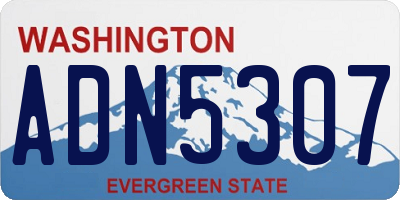 WA license plate ADN5307