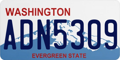 WA license plate ADN5309