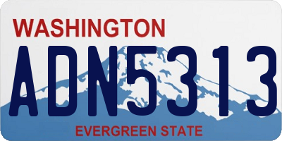 WA license plate ADN5313