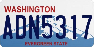 WA license plate ADN5317