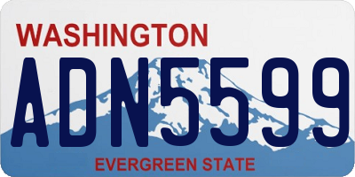 WA license plate ADN5599