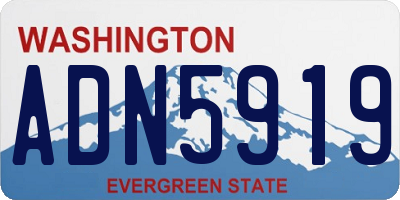 WA license plate ADN5919