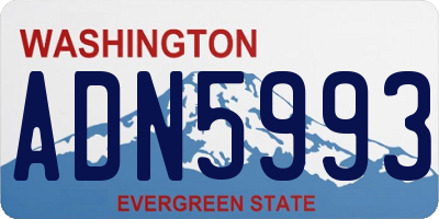 WA license plate ADN5993