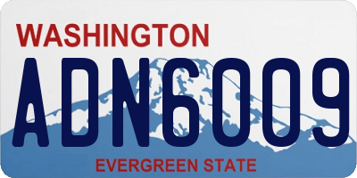 WA license plate ADN6009