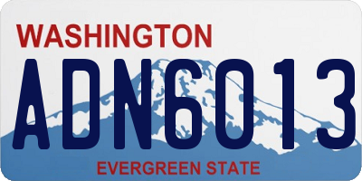WA license plate ADN6013