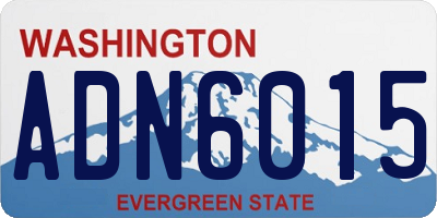 WA license plate ADN6015
